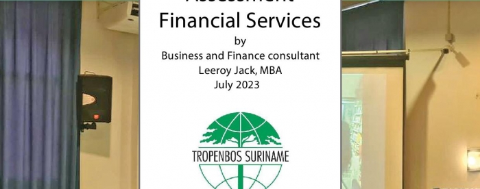 Rapport ASSESSMENT FINANCIAL SERVICES