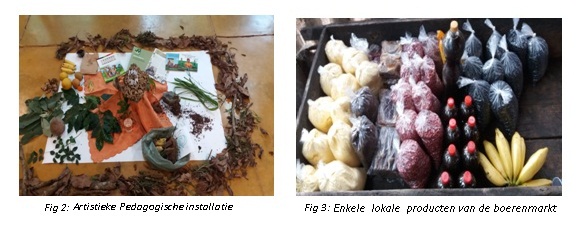 fig 2 en 3.jpg